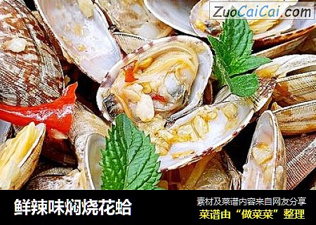 鲜辣味焖烧花蛤