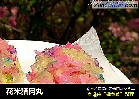 花米猪肉丸