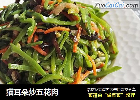 猫耳朵炒五花肉
