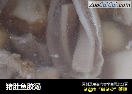 猪肚鱼胶汤