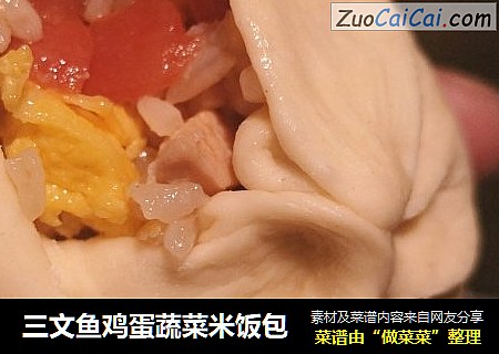 三文鱼鸡蛋蔬菜米饭包