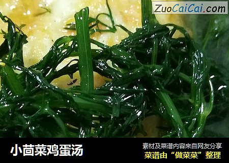 小茴菜鸡蛋汤