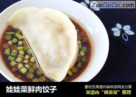 娃娃菜鲜肉饺子