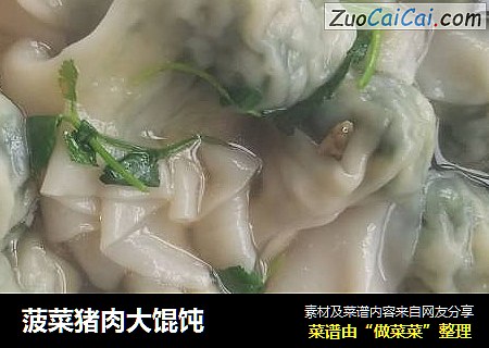 菠菜猪肉大馄饨