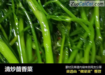 清炒茴香菜