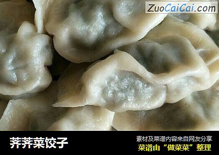 荠荠菜饺子