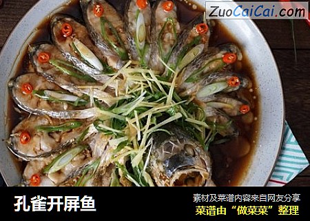 孔雀开屏鱼