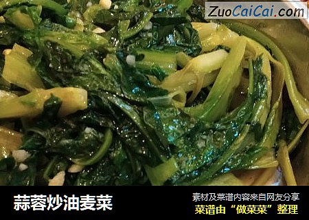 蒜蓉炒油麦菜