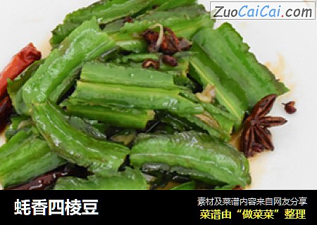 蚝香四棱豆