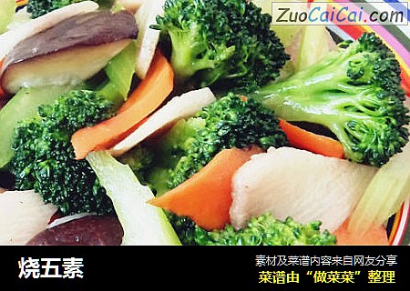 烧五素
