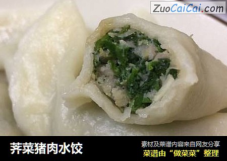 荠菜猪肉水饺
