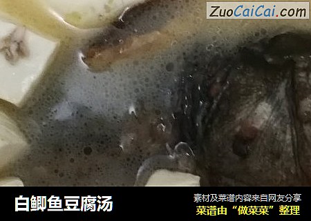 白鲫鱼豆腐汤