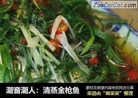 潮音潮人：清蒸金枪鱼