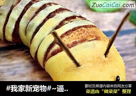 #我家新宠物#~逼真豆沙毛毛虫