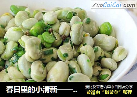 春日里的小清新——葱香蚕豆