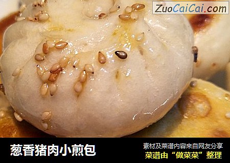 葱香猪肉小煎包