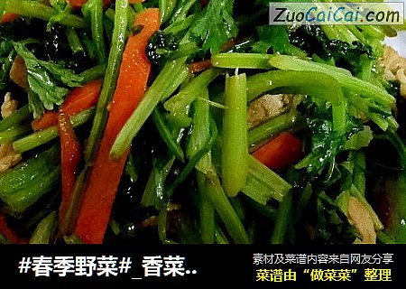 #春季野菜#_香菜肉丝（香辣肉丝）