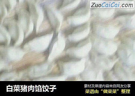 白菜猪肉馅饺子
