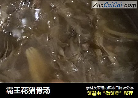 霸王花猪骨汤