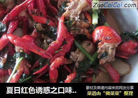 夏日红色诱惑之口味虾篇