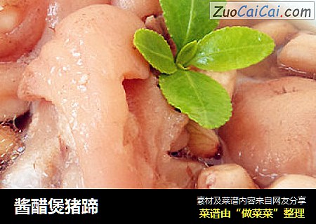 酱醋煲猪蹄