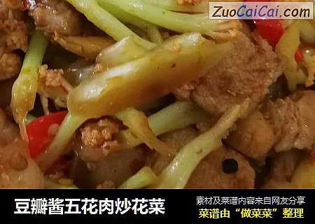 豆瓣酱五花肉炒花菜