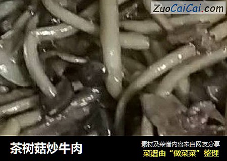 茶树菇炒牛肉