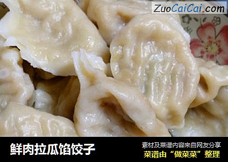 鲜肉拉瓜馅饺子