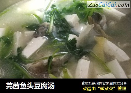 芫茜鱼头豆腐汤