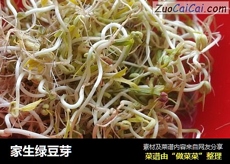 家生绿豆芽