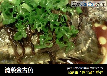 清蒸金古魚