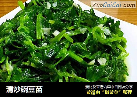 清炒豌豆苗
