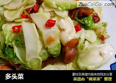 多头菜
