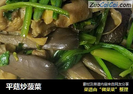 平菇炒菠菜