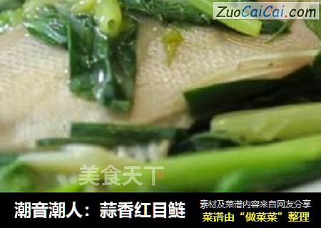 潮音潮人：蒜香红目鲢