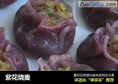 紫花烧麦