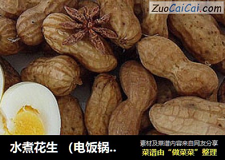 水煮花生 （电饭锅菜谱）