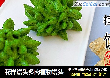 花样馒头多肉植物馒头