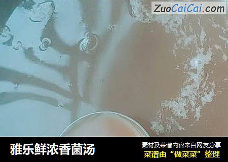 雅乐鲜浓香菌汤