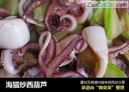 海猫炒西葫芦