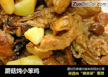 蘑菇炖小笨鸡