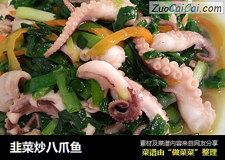 韭菜炒八爪鱼