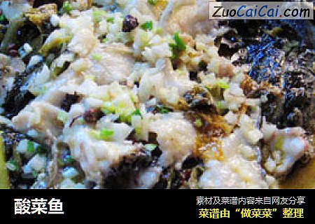 酸菜鱼
