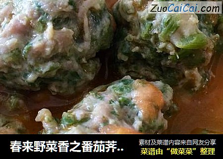春来野菜香之番茄荠菜肉丸汤
