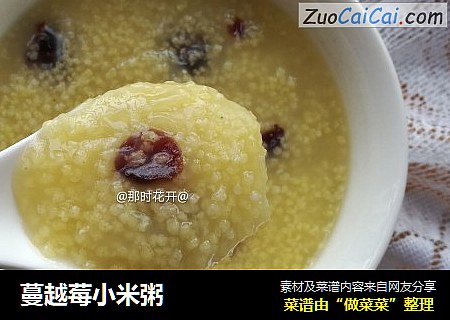 蔓越莓小米粥