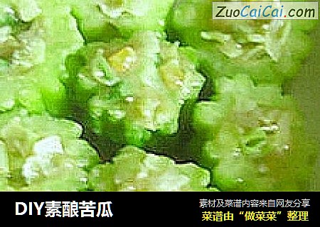 DIY素酿苦瓜
