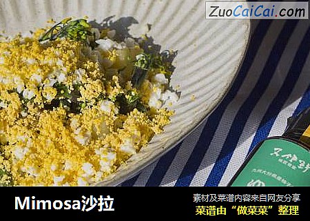 Mimosa沙拉