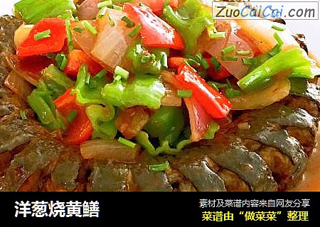 洋葱烧黄鳝