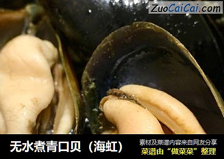 无水煮青口贝（海虹）