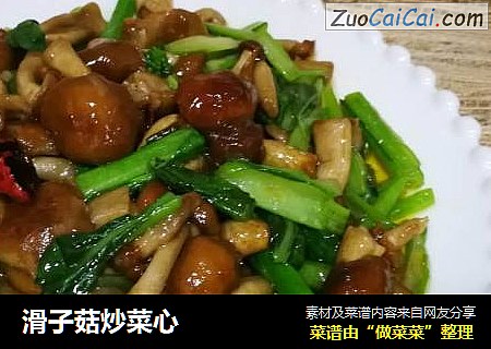滑子菇炒菜心